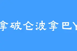 拿破仑波拿巴Y