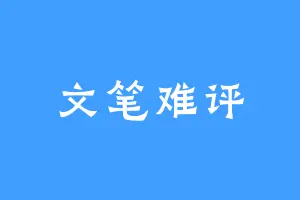 文笔难评