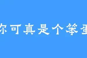 你可真是个笨蛋