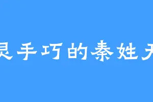 心灵手巧的秦姓天帝