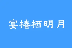宴椿栖明月