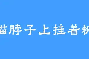 猫脖子上挂着糖