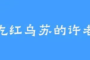 爱吃红乌苏的许老大
