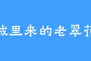 城里来的老翠花