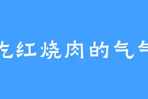 吃红烧肉的气气