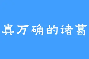 千真万确的诸葛诞